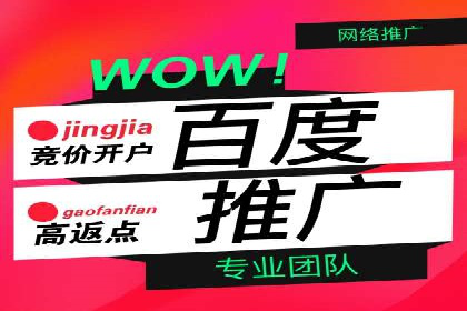 百度竞价推广的优化策略：一家科技公司的成功经验